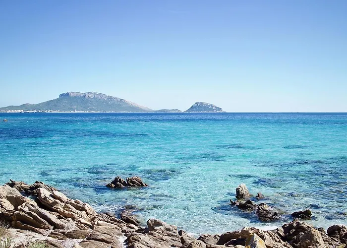 Modern In Olbia With Shared Pool - 45 Sqm Porto Rotondo